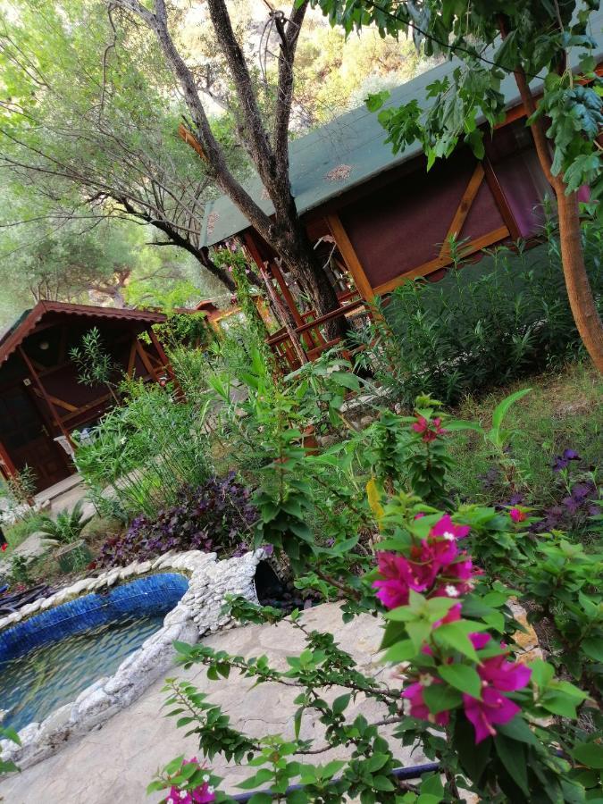Canario Bungalows Çıralı Eksteriør billede