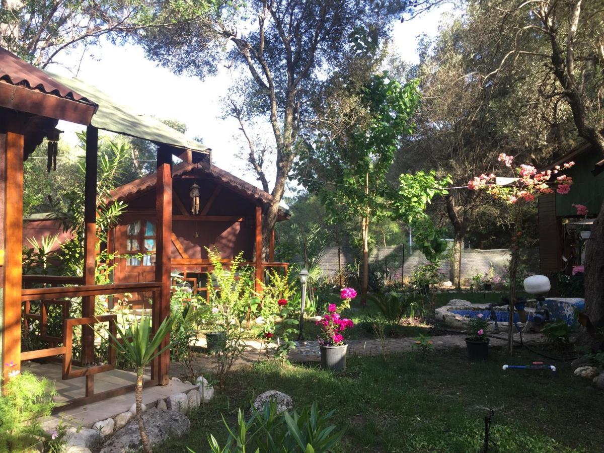 Canario Bungalows Çıralı Eksteriør billede