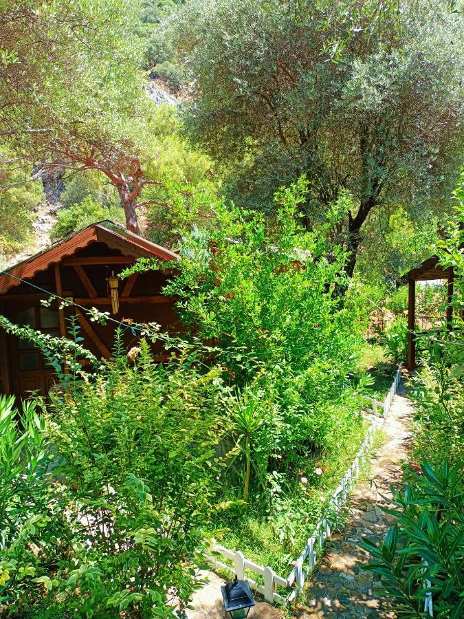 Canario Bungalows Çıralı Eksteriør billede