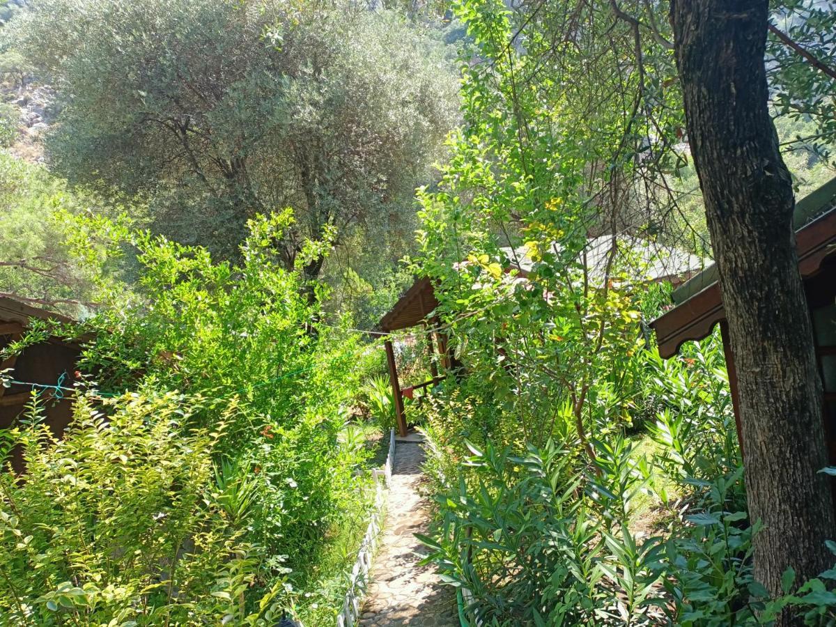 Canario Bungalows Çıralı Eksteriør billede