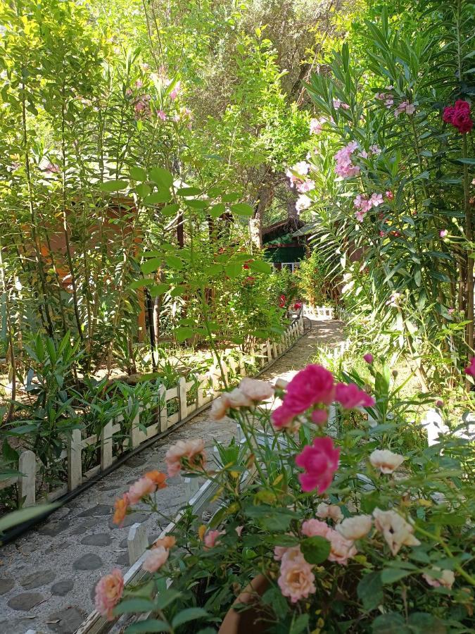 Canario Bungalows Çıralı Eksteriør billede