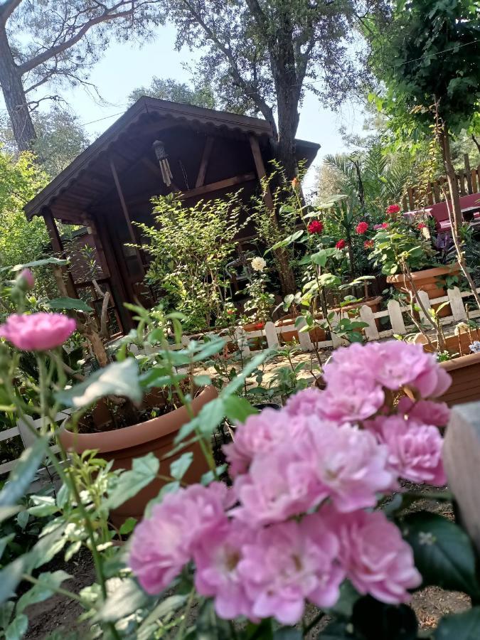 Canario Bungalows Çıralı Eksteriør billede