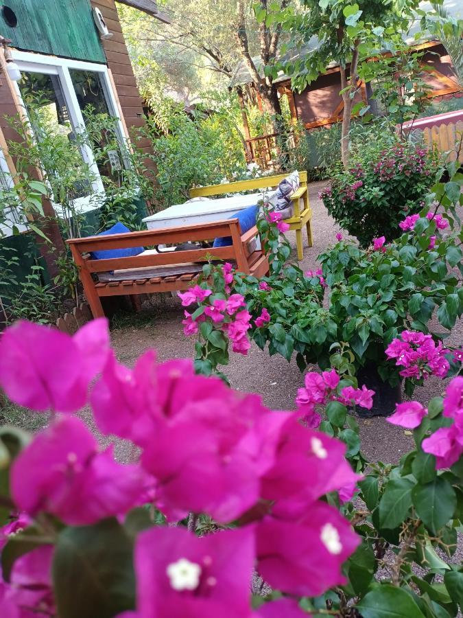Canario Bungalows Çıralı Eksteriør billede