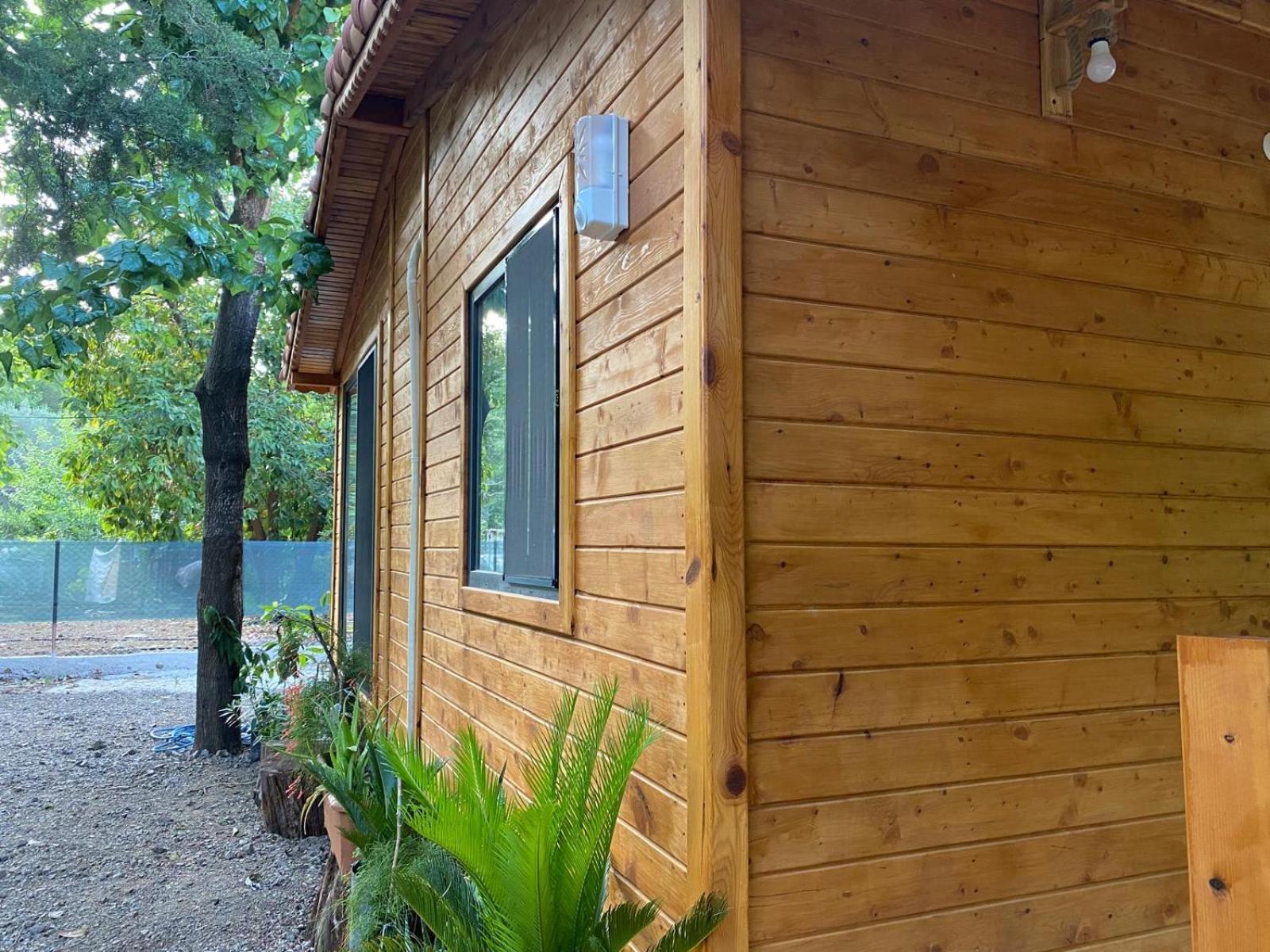 Canario Bungalows Çıralı Eksteriør billede